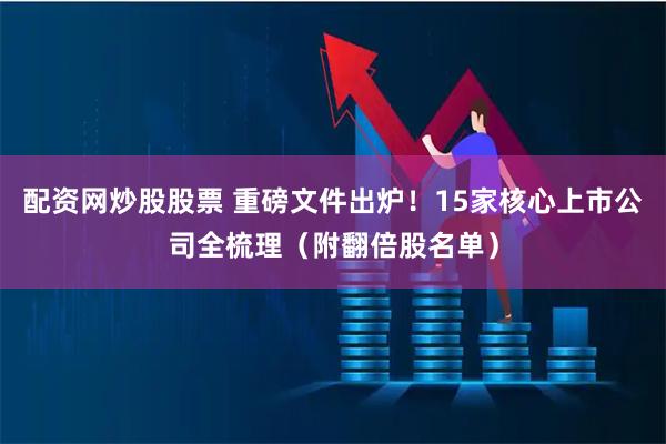 配资网炒股股票 重磅文件出炉！15家核心上市公司全梳理（附翻倍股名单）