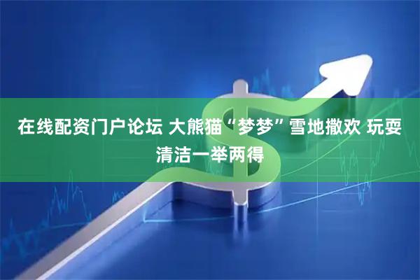 在线配资门户论坛 大熊猫“梦梦”雪地撒欢 玩耍清洁一举两得