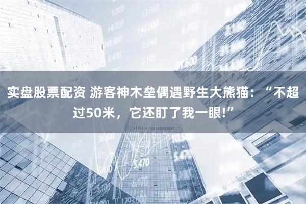 实盘股票配资 游客神木垒偶遇野生大熊猫：“不超过50米，它还盯了我一眼!”
