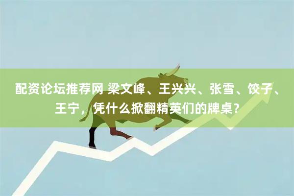 配资论坛推荐网 梁文峰、王兴兴、张雪、饺子、王宁，凭什么掀翻精英们的牌桌？
